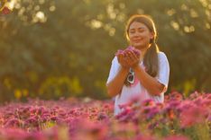 ภาพ No.102917:สาธุชนร่วมรับบุญเก็บดอกเบญจทรัพย์ ในวันที่ 19 ธันวาคม พ.ศ. 2566 (วันแรก) ณ บริเวณวัดพระธรรมกาย จ.ปทุมธานี